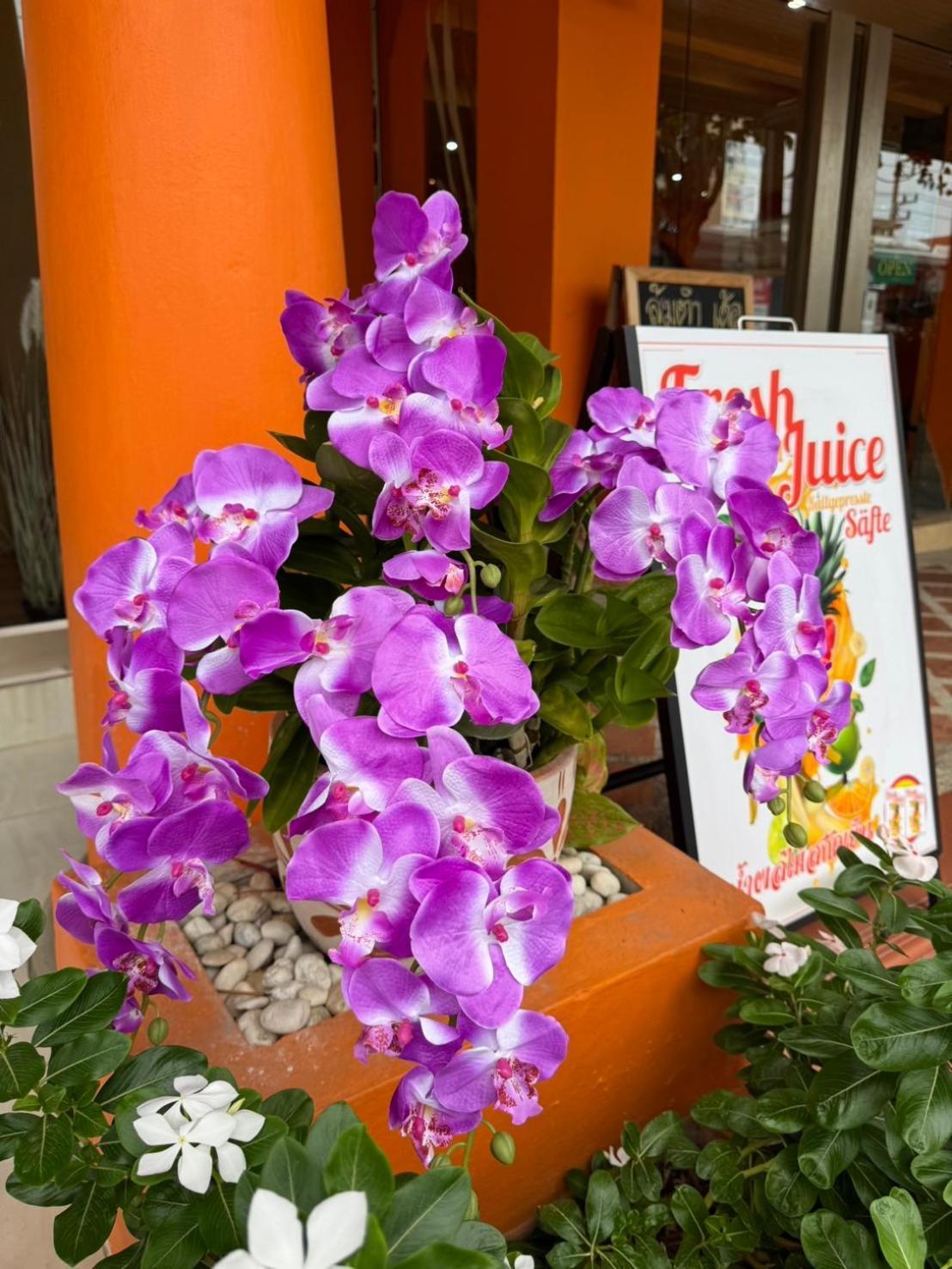 Venice Hotel Hua Hin Bagian luar foto